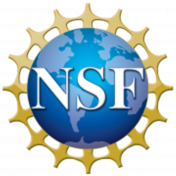 Two new NSF Awards to SDS Faculty this year